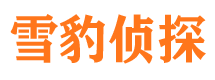 南宁捉小三公司